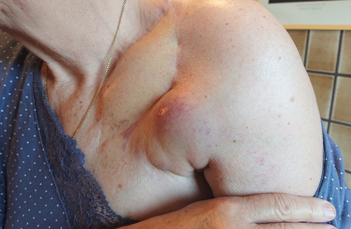 Image: Bild zum Eintrag: Die Geschichte dieser Website